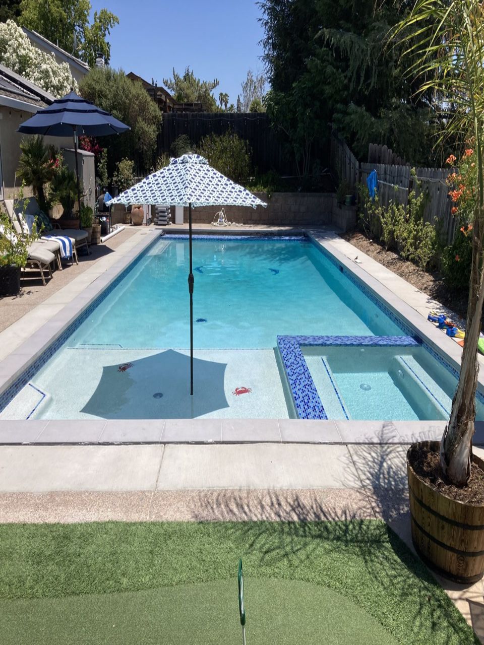 Adams Pool Solutions - Swimming pool contractor Pleasanton, California
